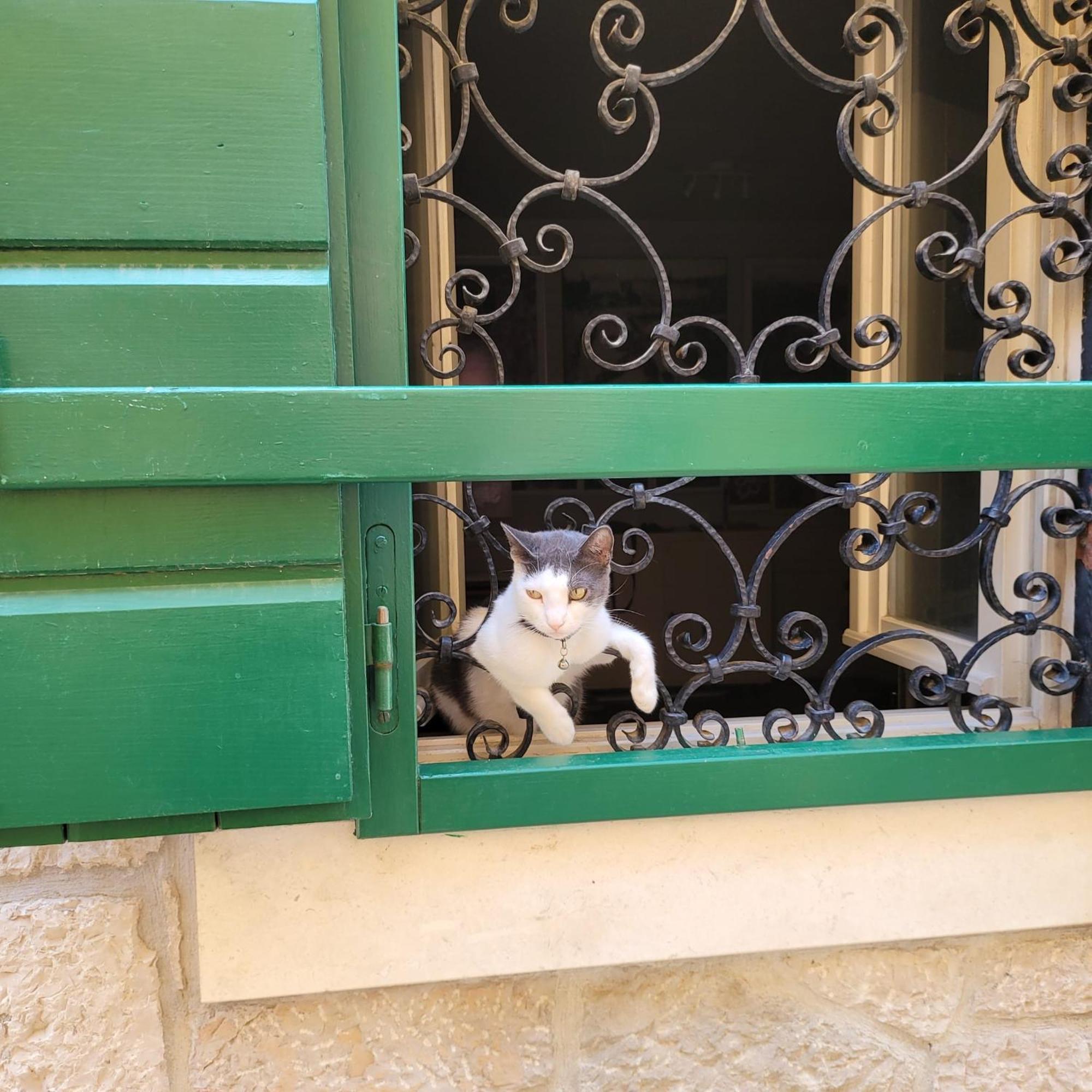 Apartmani Linda Βόντιτσε Εξωτερικό φωτογραφία